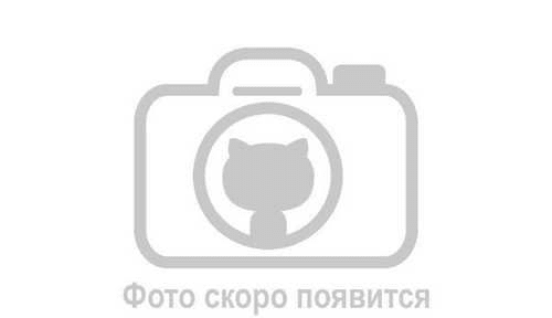 Маисовый полоз (морфа Anerythristic Striped)