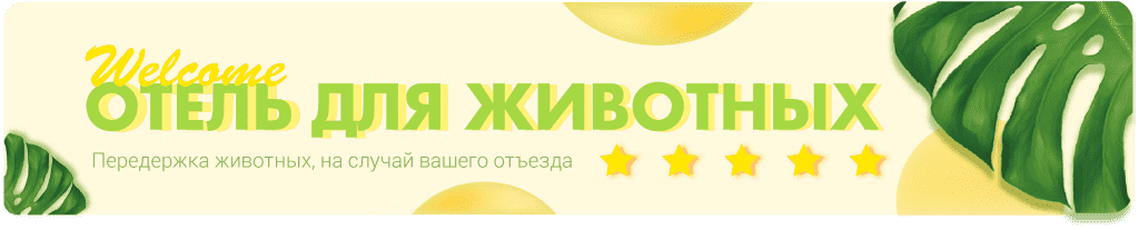 Передержка животных