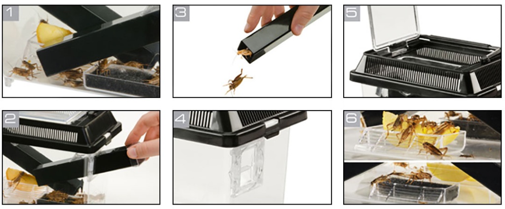 Exo-Terra_PT2285-PT2287_Cricket_Pen_Packaging_instruction.jpg