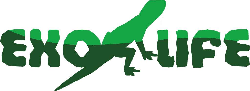 logotip_fin.png