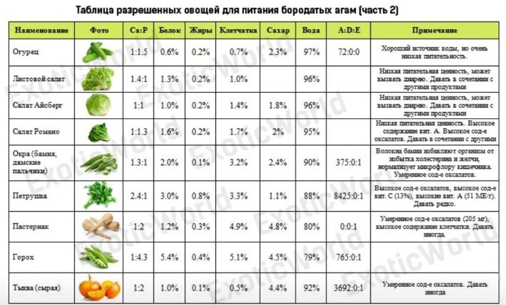 scale_2400 (1).jpg