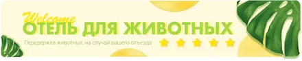 Передержка животных