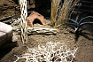 Песок для террариумов "Nature Brown", 7л