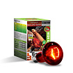 Инфракрасная лампа "Infrared Heat", 75Вт, R80