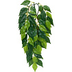 Тропическое растение EX Jungle Plants Ficus, 55*25 см
