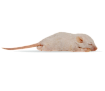 Мыши кормовые (замороженный)