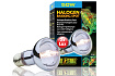 Лампа галогенная для баскинга Halogen Basking Spot, 50 Вт