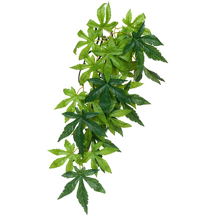 Тропическое растение EX Jungle Plants Abuliton, 40*25 см от магазина ExoLife