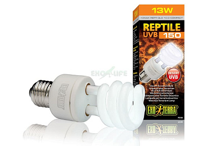 Лампа Reptile UVB150 former UVB10.0 Compact, 13W от магазина ExoLife