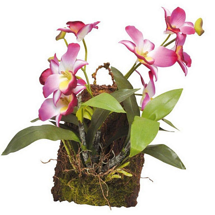 Декоративное растение "Hanging Orchid", розовое от магазина ExoLife