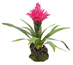 Растение для террариумов декоративное "Bromelia", 35см