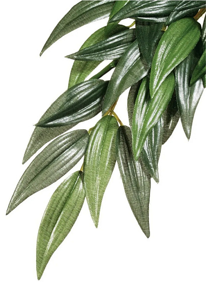 Тропическое растение EX Jungle Plants Рускус, 55х25см от магазина ExoLife