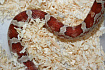Маисовый полоз (морфа Crimson)