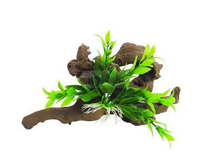 Декорация для террариумов "Forest Wood Zambia", 24.5х8.5х13см от магазина ExoLife