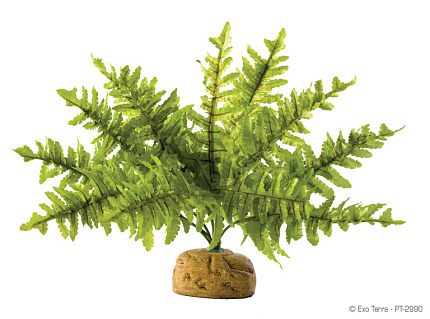 Искусственное растение EX Boston Fern, Бостонский папортник малый от магазина ExoLife