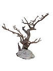 Декорация для террариума "Resin Tree", 24х18х19см