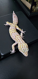 Эублефар Tremper Albino het Super Snow
