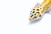 Эублефар White and Yellow het Blizzard cross Diablo