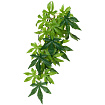 Тропическое растение EX Jungle Plants Abuliton, 80*20 см