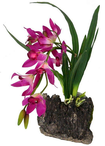 Декоративное растение "Orchid purple" от магазина ExoLife
