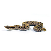 Свиноносый уж "Heterodon nasicus" (морфа Anaconda)