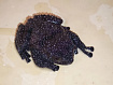 Веслоног Рябова (Theloderma ryabovi)