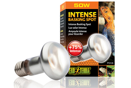 Лампа для баскинга Intense basking spot  50 Вт от магазина ExoLife