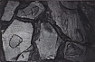 Фон "Altamira", 98*48см