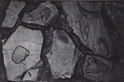 Фон "Altamira", 98*48см от магазина ExoLife