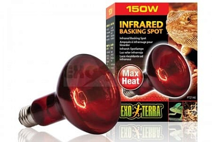 Лампа инфракрасная Infrared Basking Spot, 150 Вт от магазина ExoLife