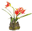 Декоративное растение "Orchid red"