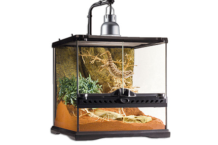 Светильник с держателем Reptile Nano Dome от магазина ExoLife