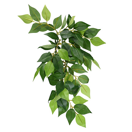 Тропическое растение EX Jungle Plants Ficus, 55*25 см от магазина ExoLife