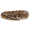 ПОД ЗАКАЗ: Королевский питон Python regius (Special)