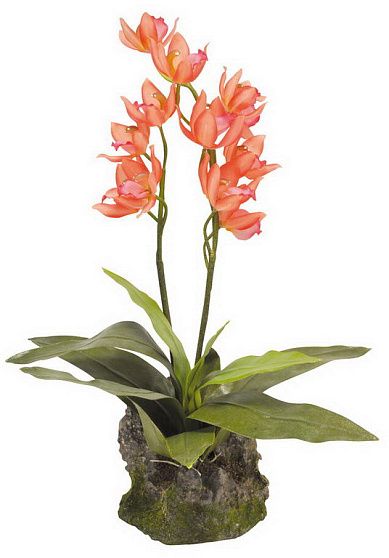 Декоративное растение "Orchid red" от магазина ExoLife