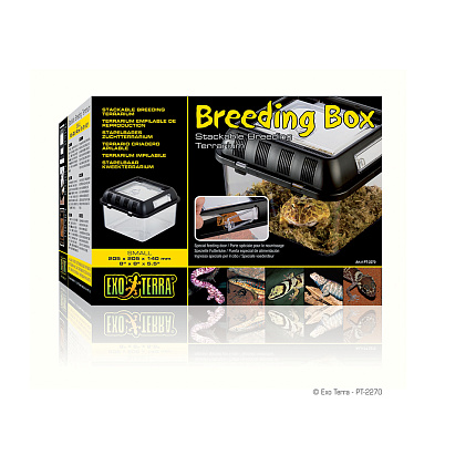 Пластиковый фаунариум Breeding Box, 20.5х20.5х14 см от магазина ExoLife