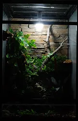 Лампа светодиодная "LED Sun Globe 7Вт"