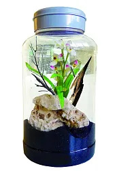 Террариум "Insect Tarrium 5л"