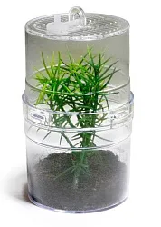 Террариум Инсектариум "Critter Box", 13.5х20 см