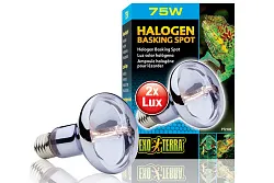 Лампа галогенная для баскинга Halogen Basking Spot, 75 Вт