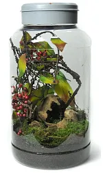 Террариум "Insect Tarrium 5л"