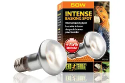 Лампа для баскинга Intense basking spot  50 Вт