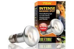 Лампа для баскинга Intense basking spot  75 Вт