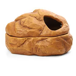 Камера влажная для рептилий "Фоссилия" S, 200*175*110мм