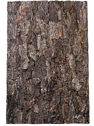 Натуральный фон, кора, "Rough", 60*30см