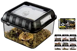 Пластиковый фаунариум Breeding Box, 20.5х20.5х14 см